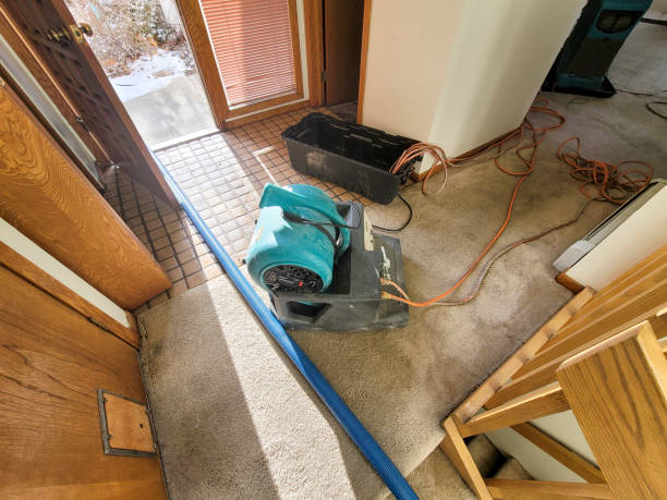 Best Water damage restoration mold remediation  in Santa Clara, OR