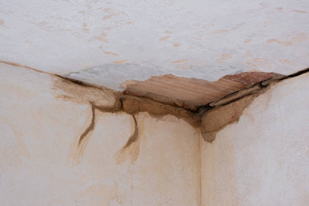 Best Ceiling water damage repair  in Santa Clara, OR