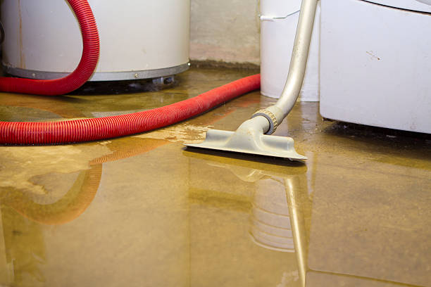 Best Local water damage restoration  in Santa Clara, OR